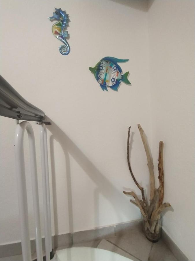 Bilocale La Tezia Appartement Marciana Marina  Buitenkant foto